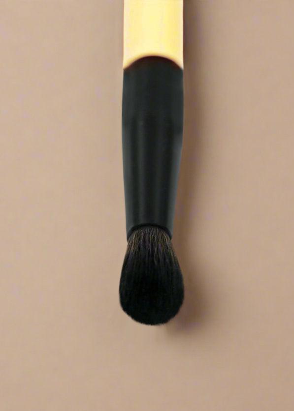 Conceal & Control | C1 Brush